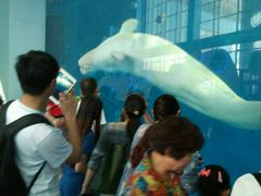 android_upload_pic-泉城欧乐堡海洋极地世界