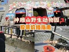 -西霞口神雕山野生动物世界