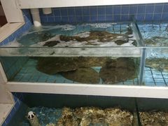 水产区-双海酒店·海鲜家常菜(南戴河店)