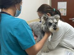-美联众合动物医院·24h转诊中心