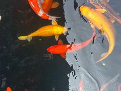 -西林禅寺
