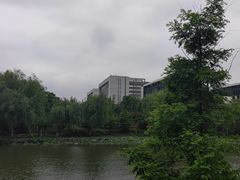 -绍兴镜湖国家城市湿地公园