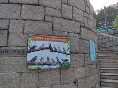 -九龙公园