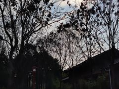 -眉山湿地公园(东坡区)