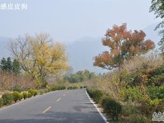 -塔川景区