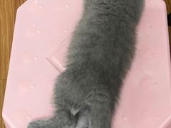 -瑞鹏瑞爱宠物医院·全科·猫科·血液透析中心(龙头寺店)