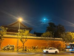 -Sirena海妖日咖夜酒