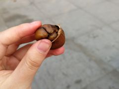 -秋栗香(地安门店)