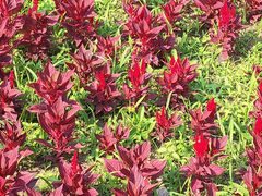 -长春公园(普阳街道)