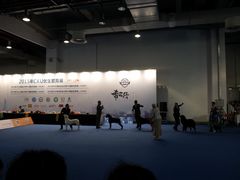 -东浩兰生上海世博展览馆