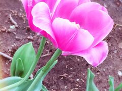 -长春公园(普阳街道)