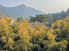 -潭柘寺景区
