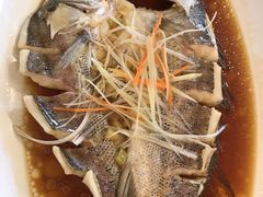 -大妈饺子馆·特色锅包肉·饺子(鼓楼店)