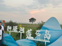 -七的湖·晚芳亭·阳澄湖农家菜·大闸蟹(莲花岛店)