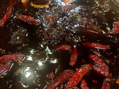 红汤锅底-大龙火锅(老店)