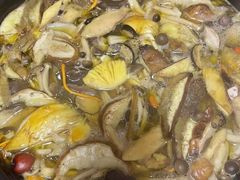 -菌之家·专业纯野生菌火锅·特色炒菌