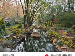 -上海共青森林公园