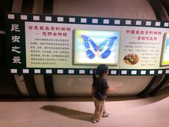 -上海昆虫博物馆