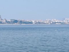-海堤纪念公园