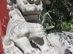 -团结湖公园