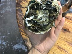 原只木桶蒸生蚝-飞尝蚝·顺德菜·鱼生(顺德总店)