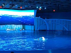 -海合安青岛极地海洋公园