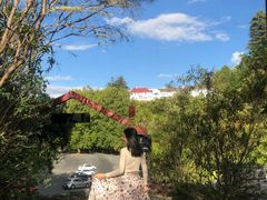 -怀托摩萤火虫洞