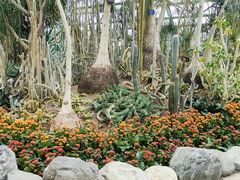 -南山植物园