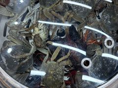 -仙螺岛海鲜自助餐厅(总店)