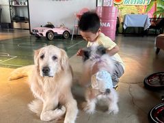 -百好乐宠物友好餐厅(朝外大街店)