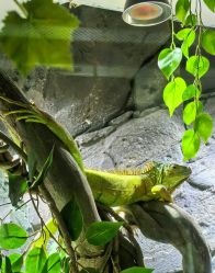 -Zoolung Zoolung动物主题公园(海信广场店)