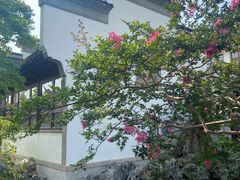-苏州冶园园林民宿(太湖西山风景区店)