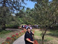 -庐山风景区花径公园