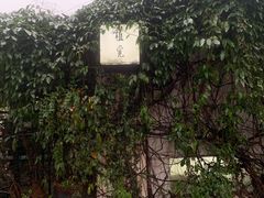 -植觉