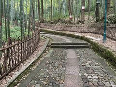 -杭州黄龙洞