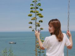 -漳州滨海火山岛自然生态风景区