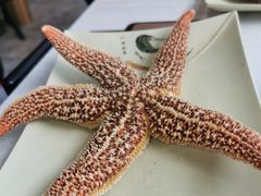 -大锅强·蒸海鲜青岛菜(吾悦广场店)