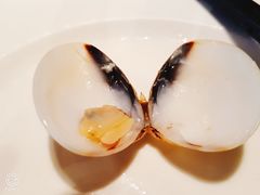 白贝下火锅-大良毋米粥(锦龙路总店)
