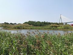 -芒洲湿地公园
