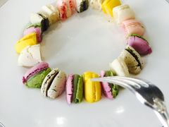 -BLACKSWAN黑天鹅(环球店)