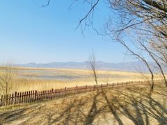 -野鸭湖国家湿地公园