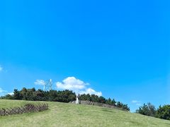 -小麦岛公园