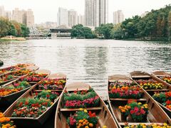-荔湾湖公园