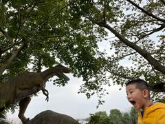 -自贡恐龙博物馆