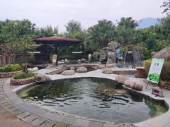 -雅安楠水阁温泉酒店