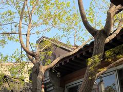 -VOYAGE COFFEE(杨梅竹店)