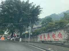 -老幺泉水鸡