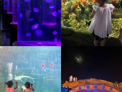 -无锡动物园·太湖欢乐园