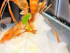 -荟廷·晶萃(静安寺店)