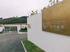 -龙坞茶村